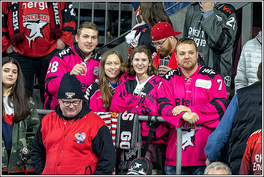 DEL; Koelner Haie - Schwenninger Wild Wings, 06.12.2018